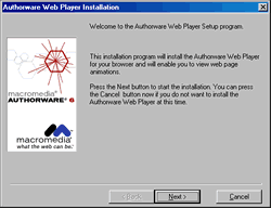 authorware web player